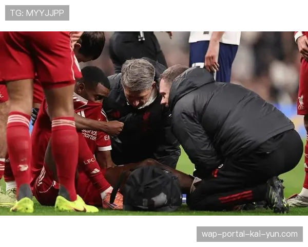 利物浦中场控制力下降 麦卡利斯特赫拉芬贝赫衔接不畅